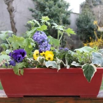 Stage balcon fleuri