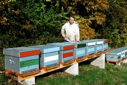 Stage apiculture