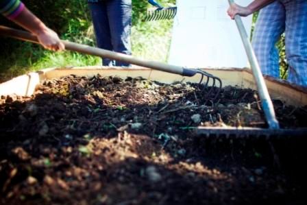 Stage potager de poche