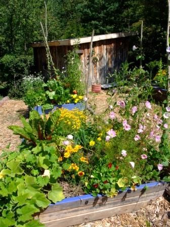 Stage potager de poche