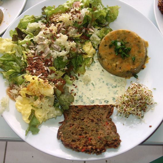 stage cuisine sauvage