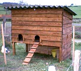 Stage poulailler