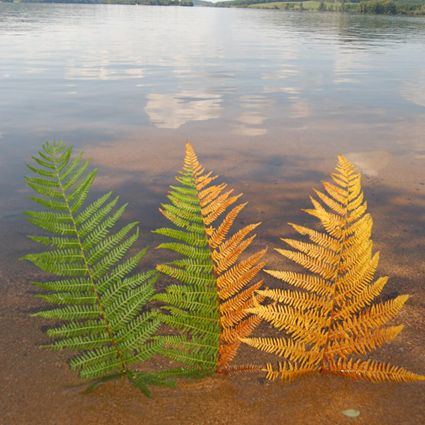 stage de land-art