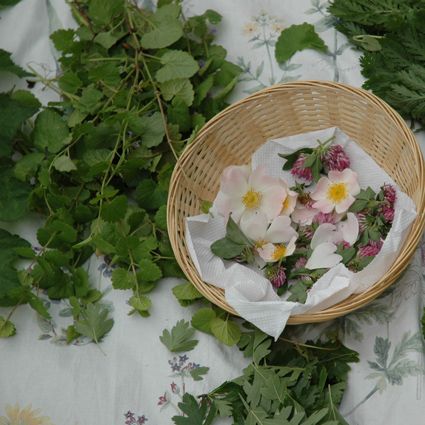 Stage cuisine sauvage