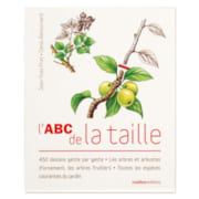L'ABC de la taille