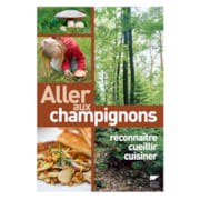 Aller aux champignons
