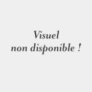 Magellan