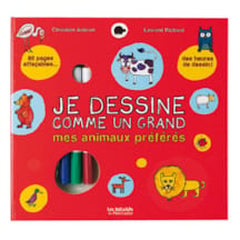 Je dessine comme un grand mes animaux