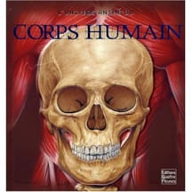 Le corps humain