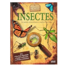 Insectes - Les dossiers du muséum