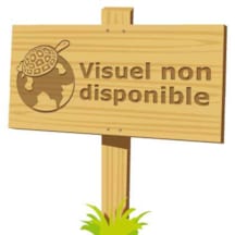 Tisane du monde vitalité