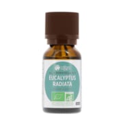 Huile essentielle bio eucalyptus radiata