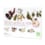 Coffret six infusions du soir bio* Coffret six infusions du soir bio*