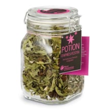 Potion d’après-festin