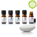 Coffret 5 huiles essentielles bio*