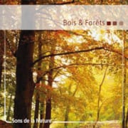 CD Bois & Forêts