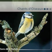CD Chants d'Oiseaux
