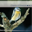 CD Chants d'Oiseaux