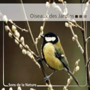 CD Oiseaux des jardins