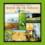 CD Le meilleur des sons de la nature