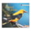 CD Oiseaux solistes CD Oiseaux solistes