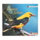 CD Oiseaux solistes