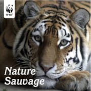CD Nature sauvage