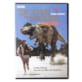 DVD Sur la terre des dino inédits