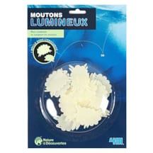 Moutons lumineux