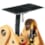 Construction solaire chenille Construction solaire chenille