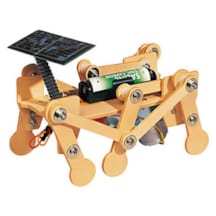 Construction solaire insecte