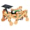 Construction solaire insecte Construction solaire insecte