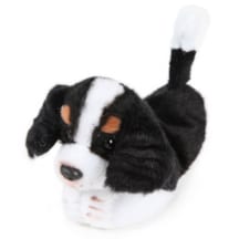 Animal magnétique