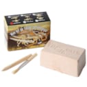 Mini fossile dino