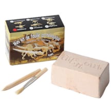 Mini fossile dino