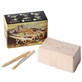 Mini fossile dino