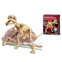 Coffret excavation T-Rex