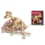 Coffret excavation T-Rex