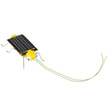 Sauterelle solaire