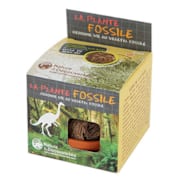 Plante fossile