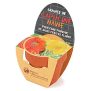 Mini kit capucine