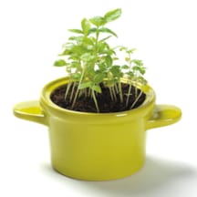 Dînette cocotte tomate et basilic