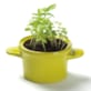 Dînette cocotte tomate et basilic