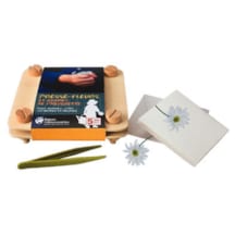 Presse-fleurs et graines de pâquerette