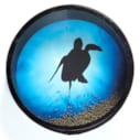 Tambourin océan