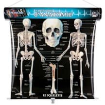 Coffret stéthoscope