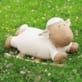 Mouton à bascule câlin