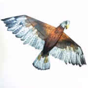 Cerf volant 3D Aigle