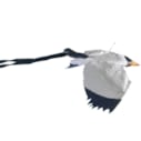 Cerf volant mouette