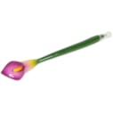 Stylo arum